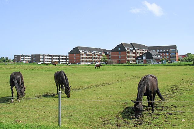 Panorama der Ferienwohnungsanlage